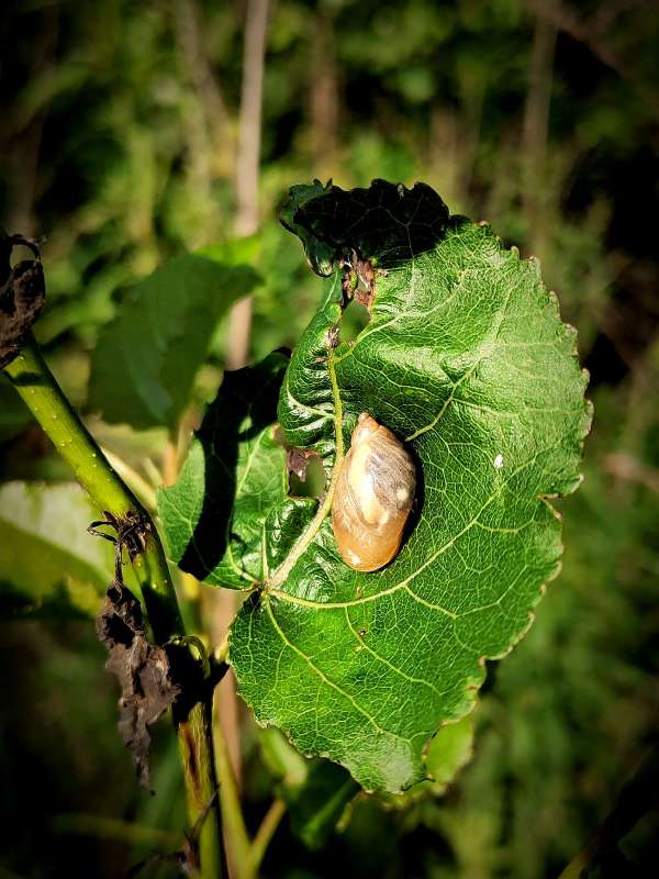 ������ ����� ������  �� PhotoGeek.ru #�����