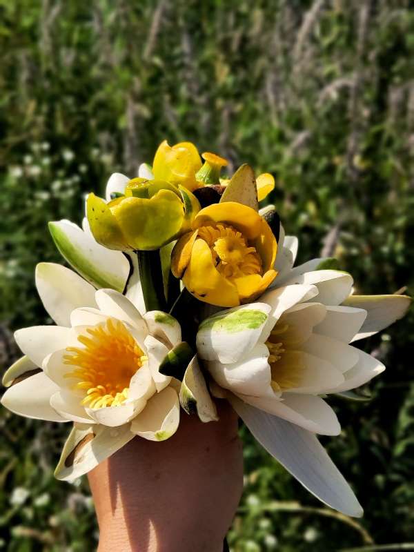 ����� �� ������ ������ ����� ������  �� PhotoGeek.ru #����� #����� ��������������