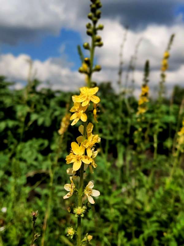 ������� ����� ����� ������  �� PhotoGeek.ru #����� #����� ��������������