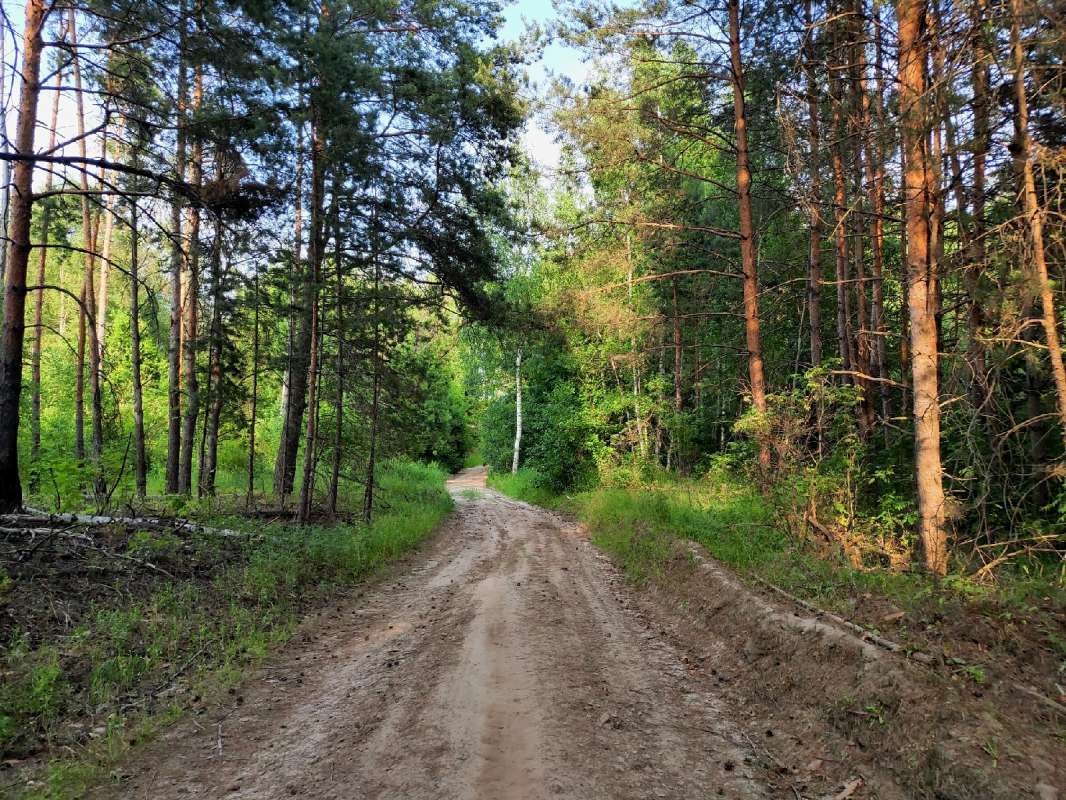 � �������� ���� ����� ������  �� PhotoGeek.ru #������ ��� �������