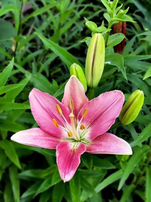 ������� ����� ����� ������  �� PhotoGeek.ru #����� #����� ��������������