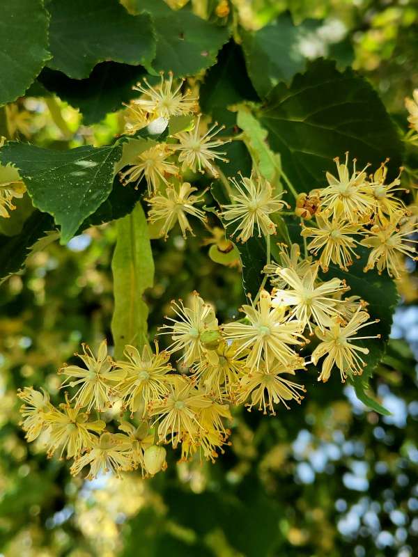 ���� ���� ����� ������  �� PhotoGeek.ru #����� #����� ��������������