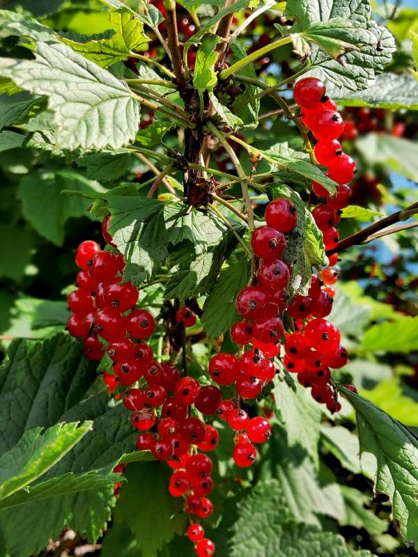 ������� ��������� ����� ������  �� PhotoGeek.ru #����� #����� ��������������