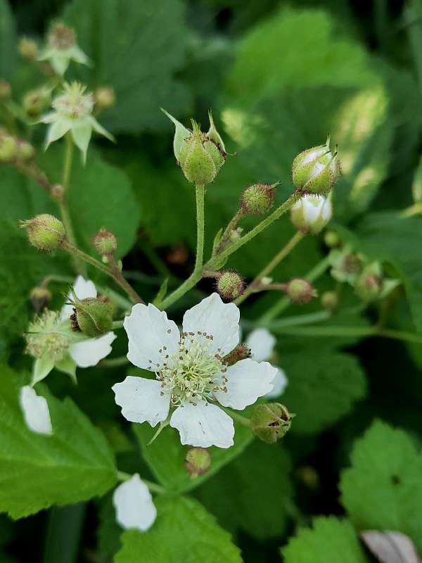 ������� ����� ������  �� PhotoGeek.ru #����� #����� ��������������