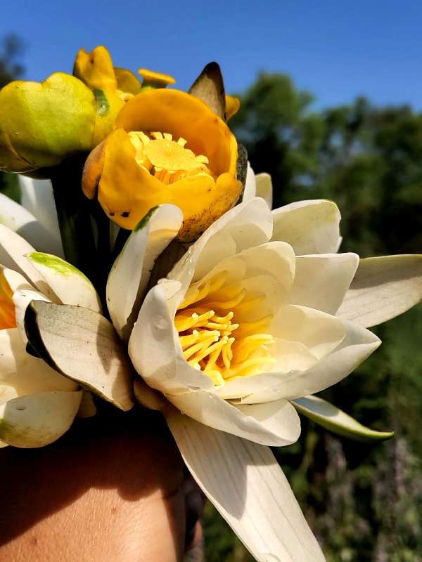 ������ ����� ����� ������  �� PhotoGeek.ru #����� #����� ��������������