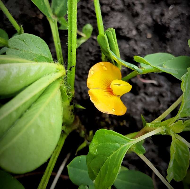 ������ ������ ����� ������  �� PhotoGeek.ru #����� #����� ��������������