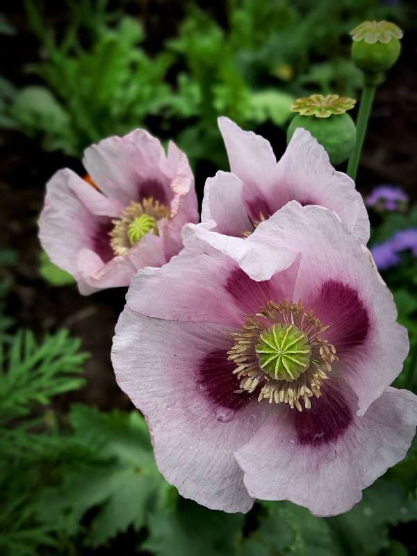 ���� �������� ���� ����� ������  �� PhotoGeek.ru #����� #����� ��������������