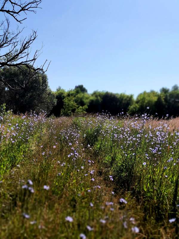 ����� ������� ���� ����� ������  �� PhotoGeek.ru #������ ��� �������