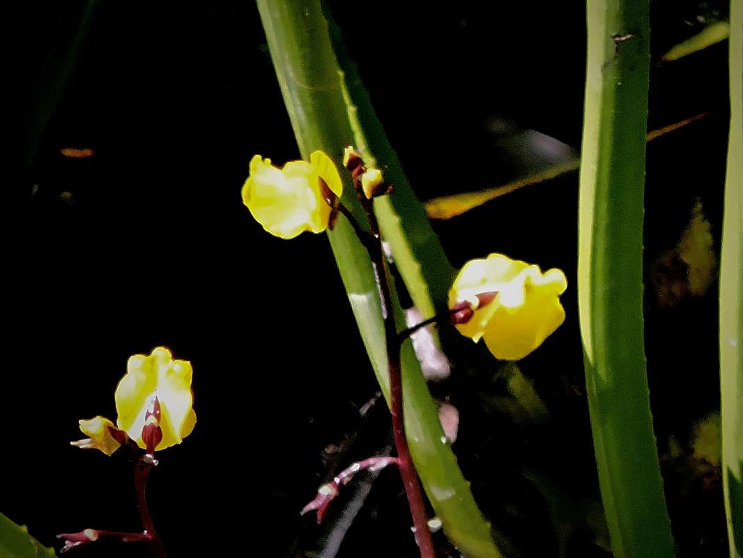 ������ ����� ����� ������  �� PhotoGeek.ru #����� ��������������