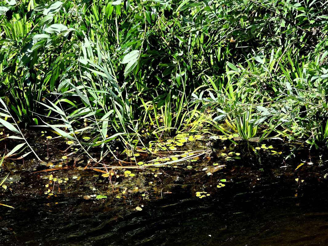 ���������� ����� ����� ������  �� PhotoGeek.ru #������ ��� �������