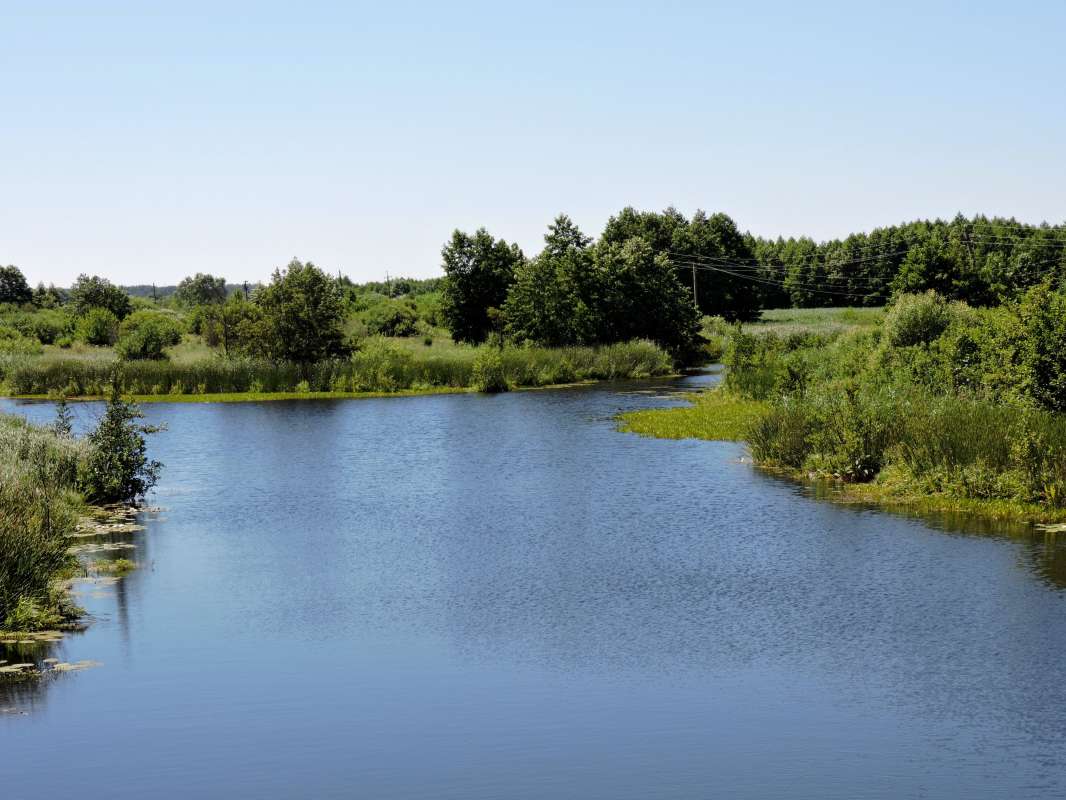 ������� ¸��� ����� ������  �� PhotoGeek.ru #������ ��� �������