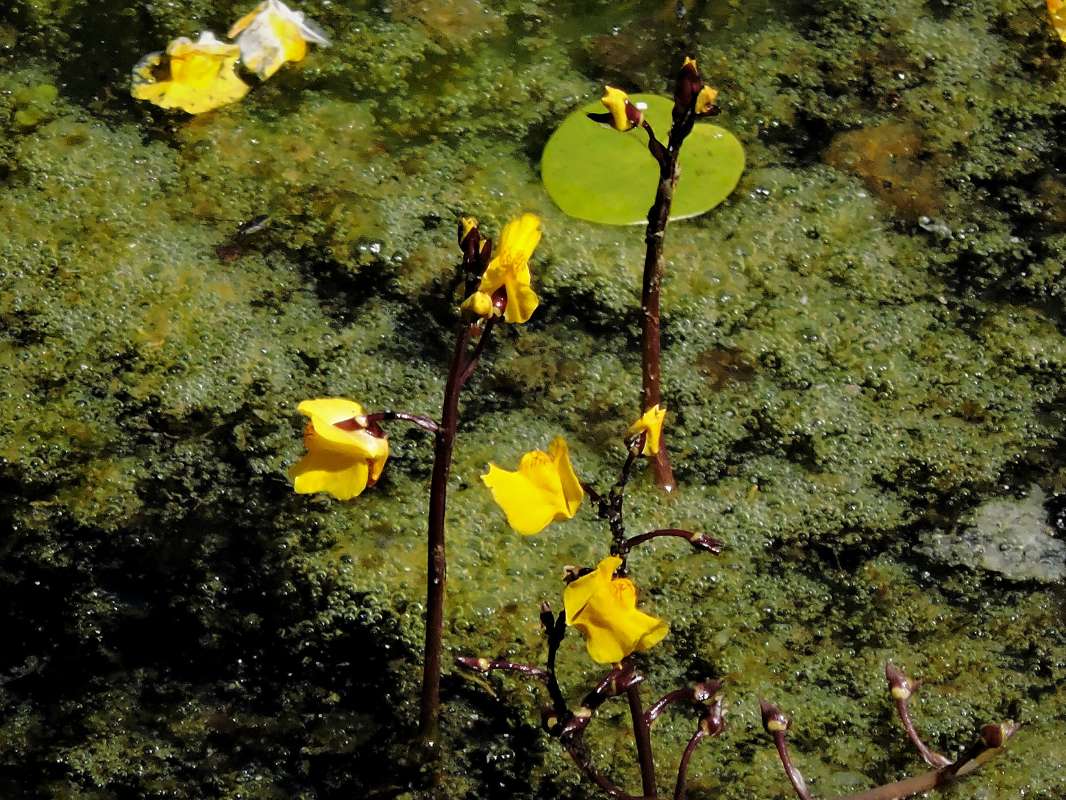 ������ ����� ����� ������  �� PhotoGeek.ru #������ ��� ������� #����� ��������������