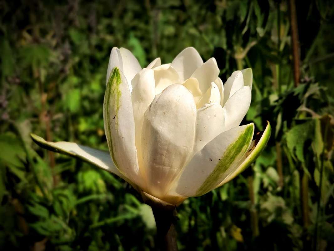 ����� �������� ����� ������  �� PhotoGeek.ru #����� #����� ��������������