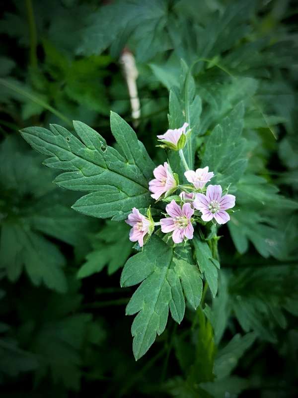 ������� ������� ����� ������  �� PhotoGeek.ru #����� #����� ��������������