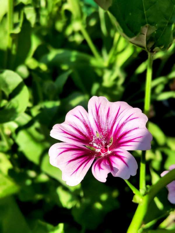 ������ ������� ����� ������  �� PhotoGeek.ru #����� #����� ��������������