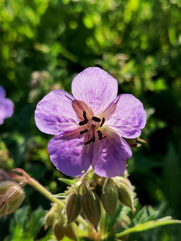 ������� ������ ����� ������  �� PhotoGeek.ru #����� #����� ��������������