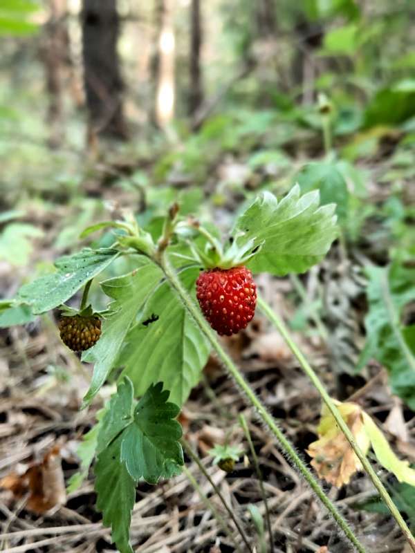 ������ ����� ����� ������  �� PhotoGeek.ru #����� #����� ��������������