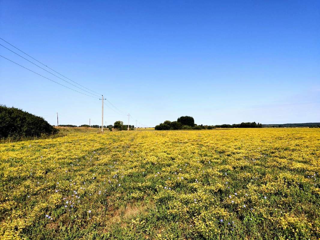 ������� ��� ����� ������  �� PhotoGeek.ru #������ ��� �������