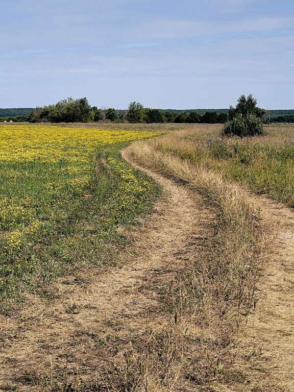 �� ������� ��������� ����� ����� ������  �� PhotoGeek.ru #������ ��� �������