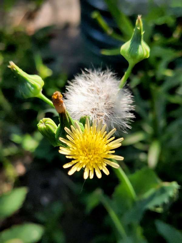 ������ ������ ����� ����� ������  �� PhotoGeek.ru #����� #����� ��������������