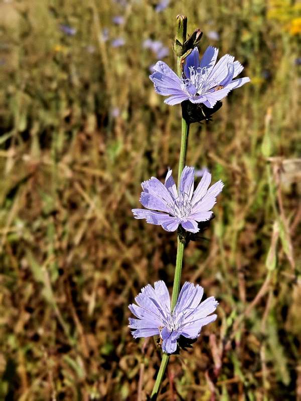 ������ ���� ����� ������  �� PhotoGeek.ru #����� #����� ��������������