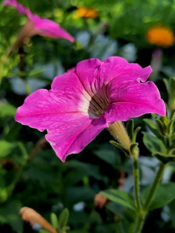 ����� ������ ������� ����� ������  �� PhotoGeek.ru #����� #����� ��������������