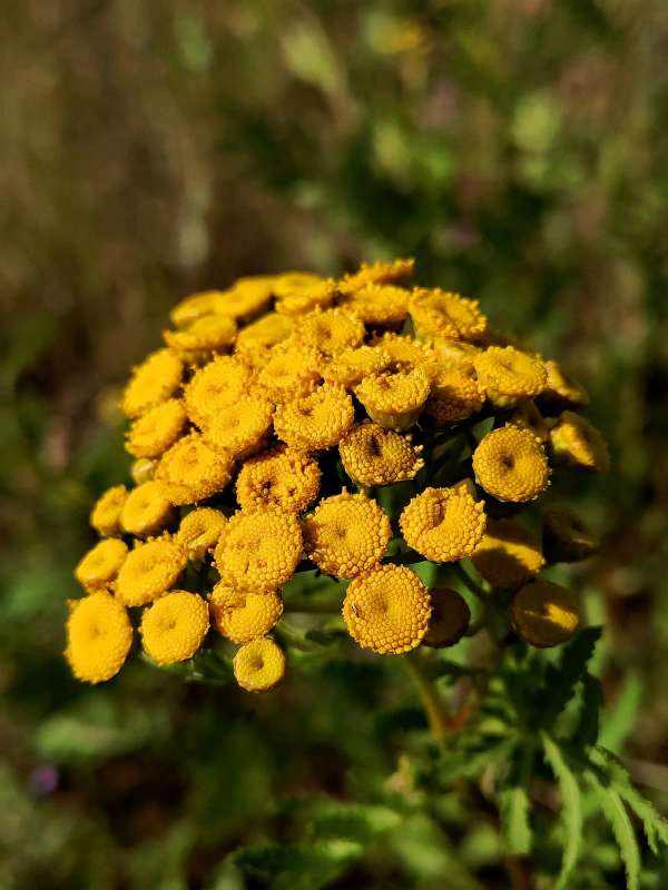 �������� ����� ����� ������  �� PhotoGeek.ru #����� #����� ��������������