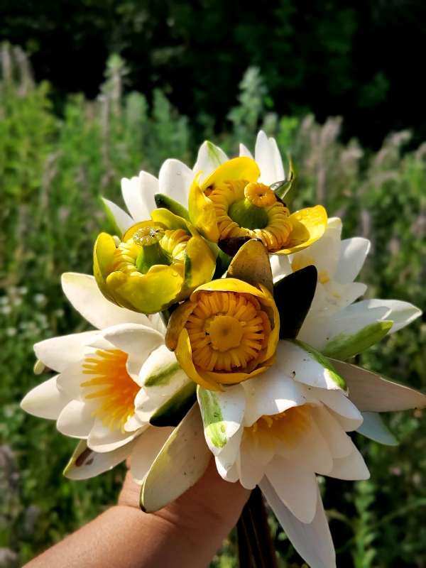 ������ ����� ����� ������  �� PhotoGeek.ru #����� #����� ��������������