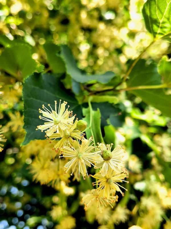 ���� ����� ������  �� PhotoGeek.ru #����� #����� ��������������