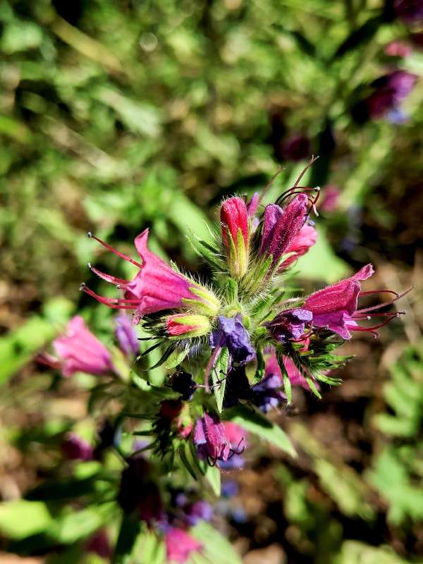 ����� - ���������� ������� ����� ������  �� PhotoGeek.ru #����� #����� ��������������