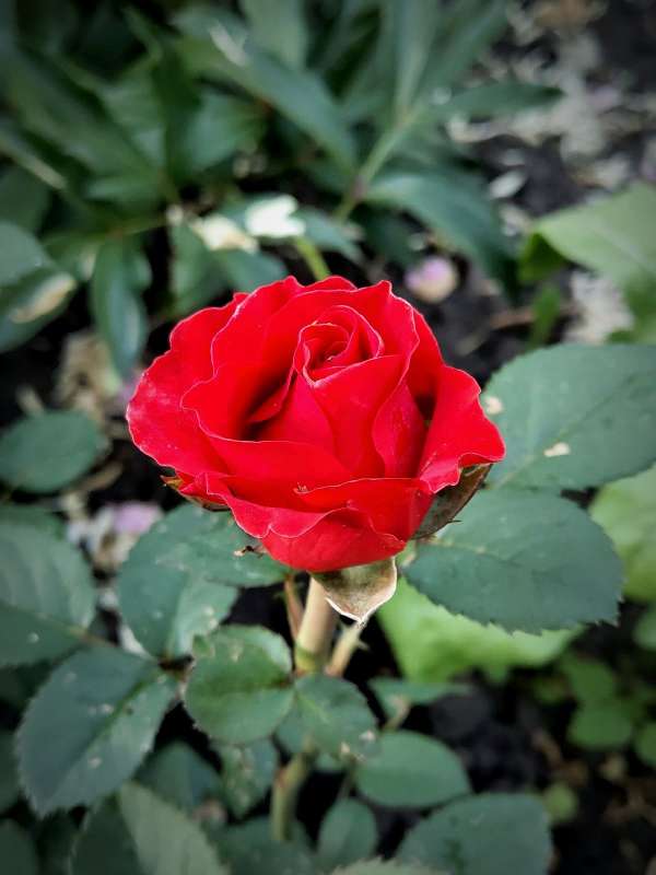 ���� ���� ����� ������  �� PhotoGeek.ru #����� #����� ��������������