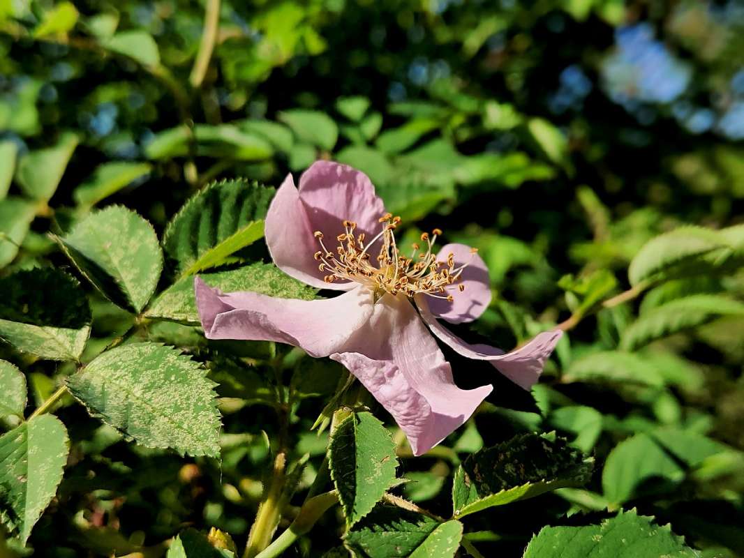 �������� ����� ������  �� PhotoGeek.ru #����� #����� ��������������