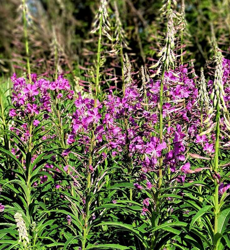 ��������� ��� ����� ������  �� PhotoGeek.ru #����� ��������������