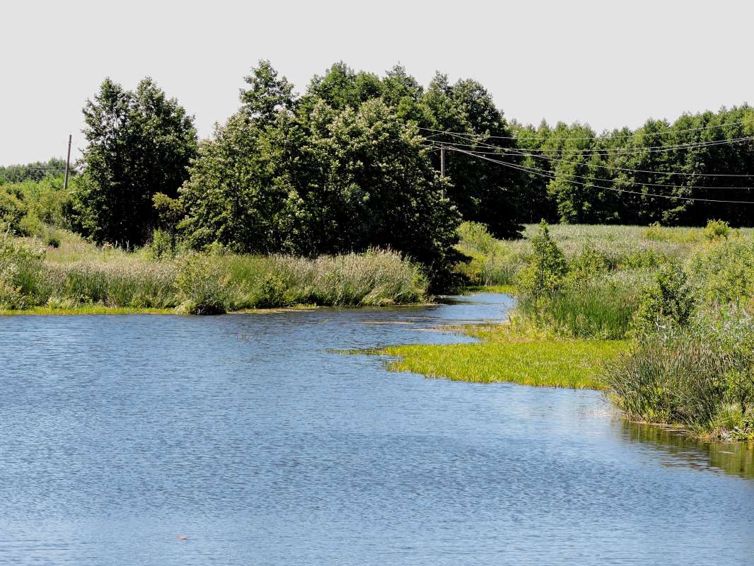 ������� ¸��� ����� ������  �� PhotoGeek.ru #������ ��� �������