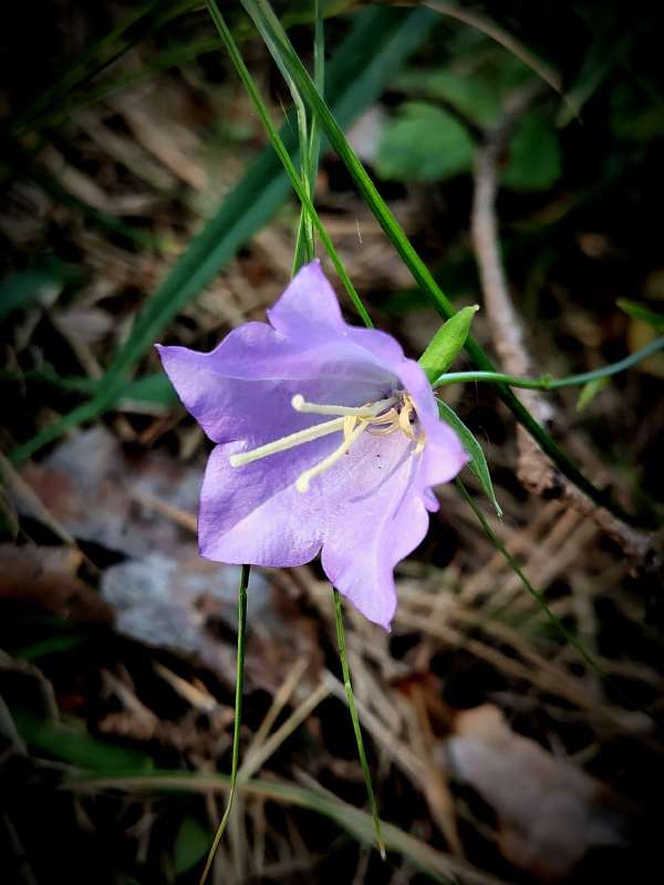 ����������� ������ ����� ������  �� PhotoGeek.ru #����� #����� ��������������