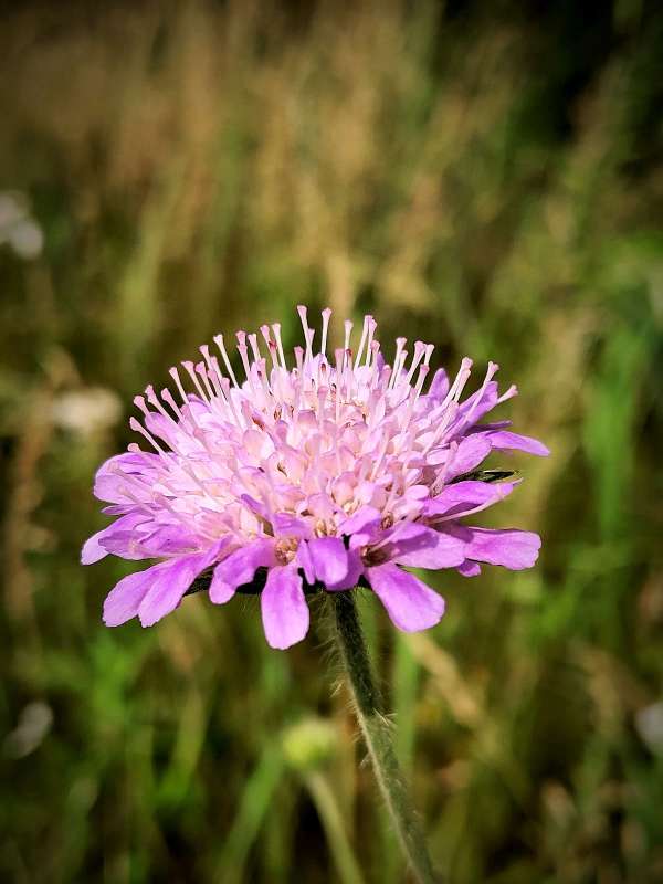 �������� ����� ������  �� PhotoGeek.ru #����� #����� ��������������