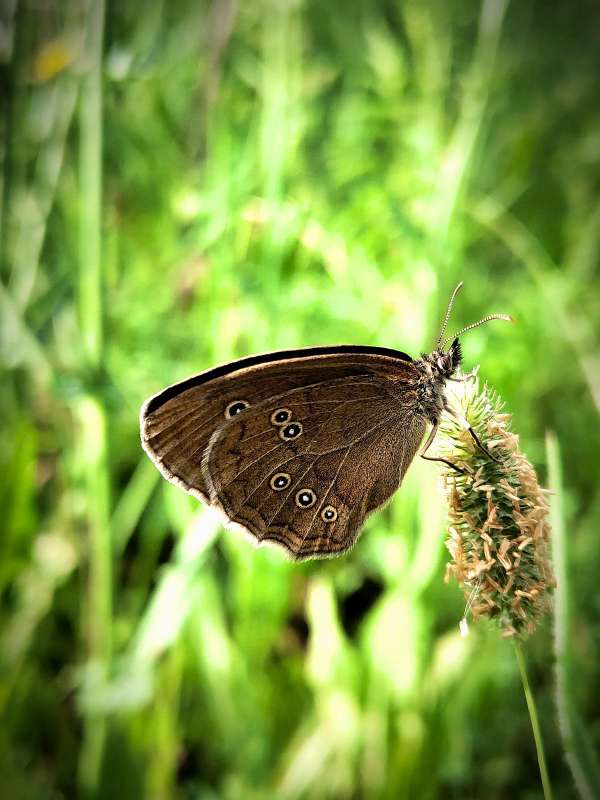 ������� ����� ������  �� PhotoGeek.ru #����� #����� ��������������