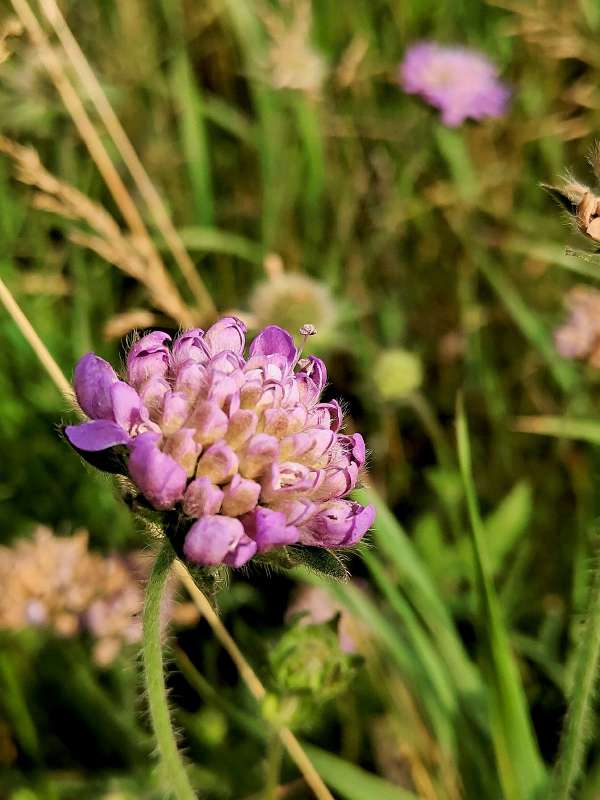 ����� �������� ����� ������  �� PhotoGeek.ru #����� #����� ��������������