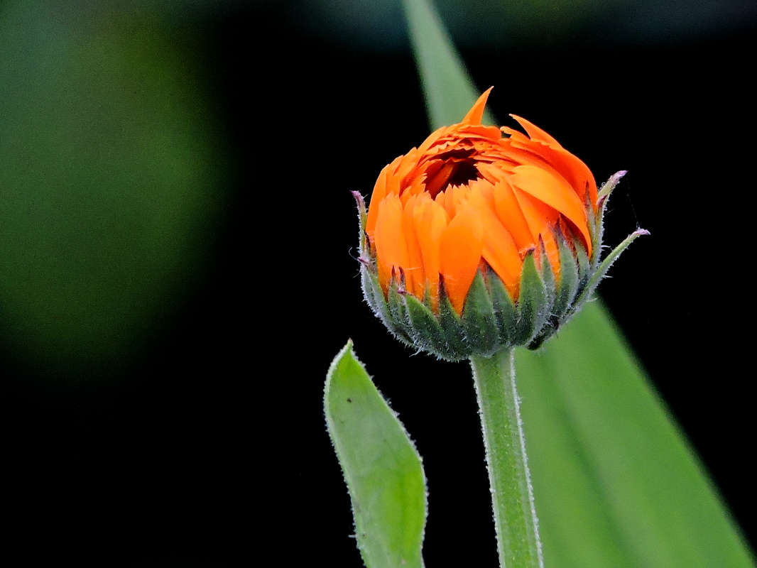 ����� ��������� ����� ������  �� PhotoGeek.ru #����� #����� ��������������