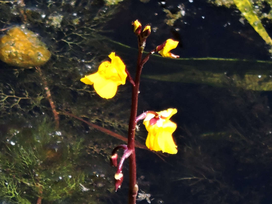 ������ ������ ����� ������  �� PhotoGeek.ru #������ ��� �������