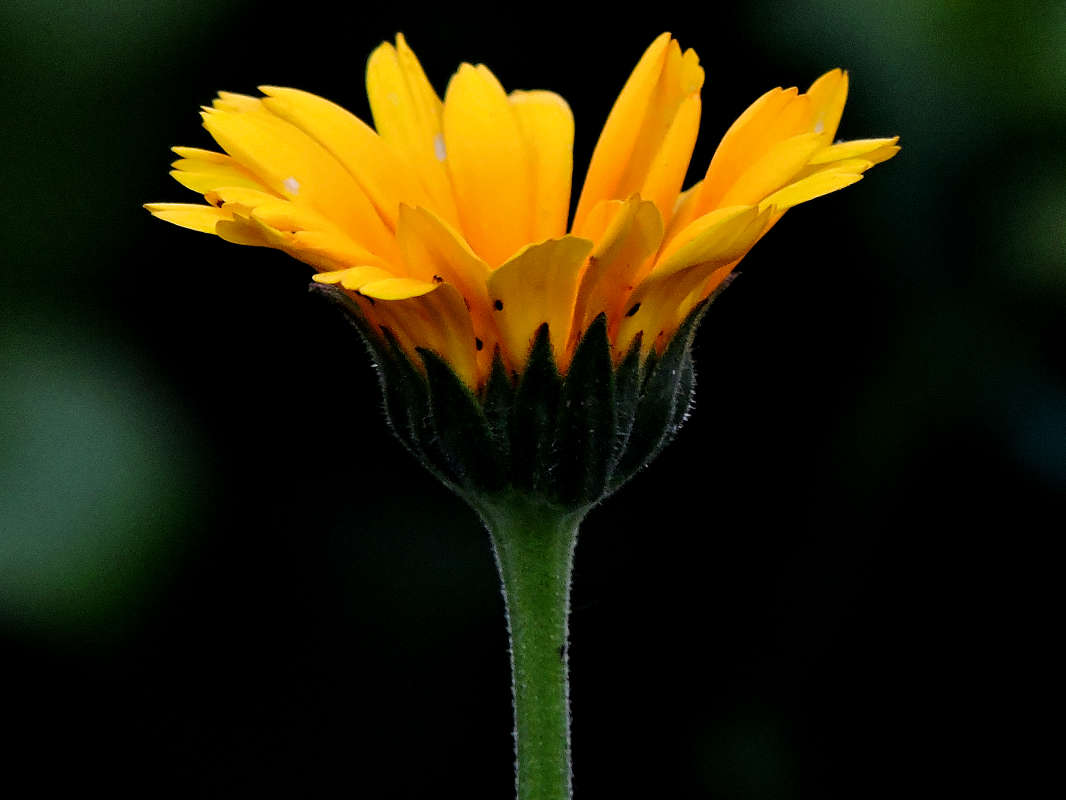 ��������� ����� ������  �� PhotoGeek.ru #����� #����� ��������������