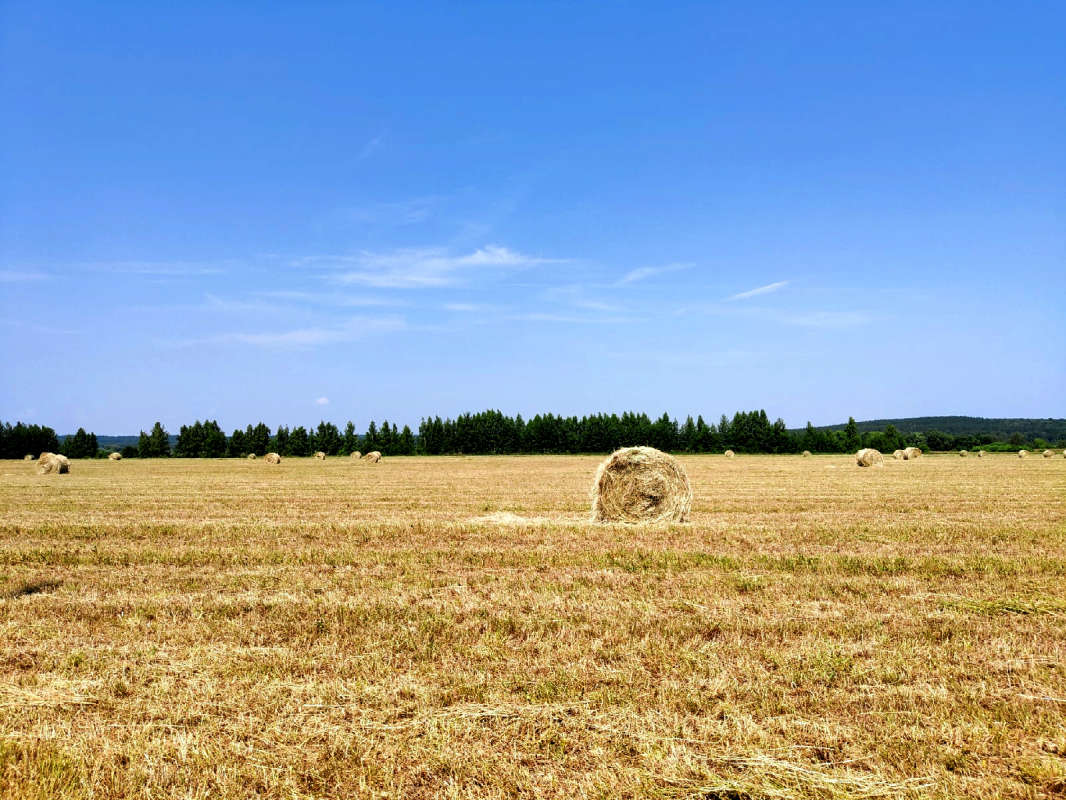 ������ ����� ������  �� PhotoGeek.ru #������ ��� �������