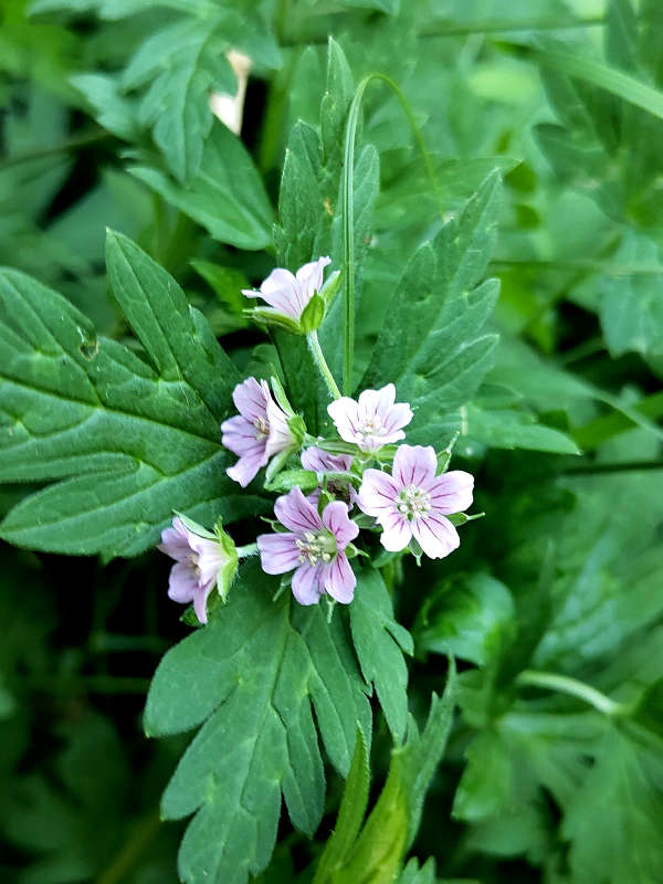 ������� ��������� ���� ����� ������  �� PhotoGeek.ru #����� #����� ��������������