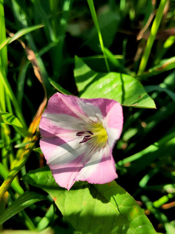 ������� ������ ����� ������  �� PhotoGeek.ru #����� #����� ��������������