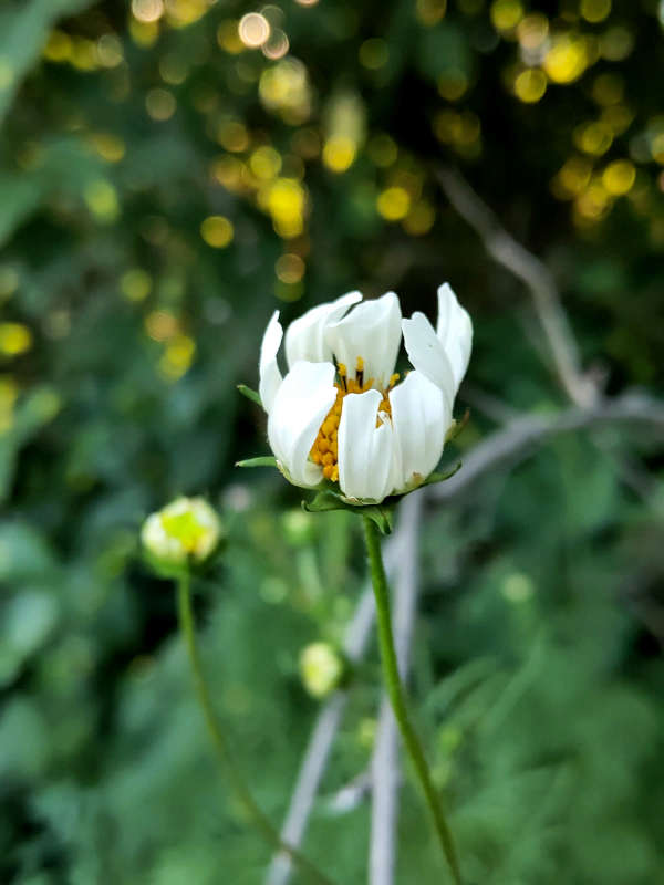 ������ ����� ������  �� PhotoGeek.ru #����� #����� ��������������