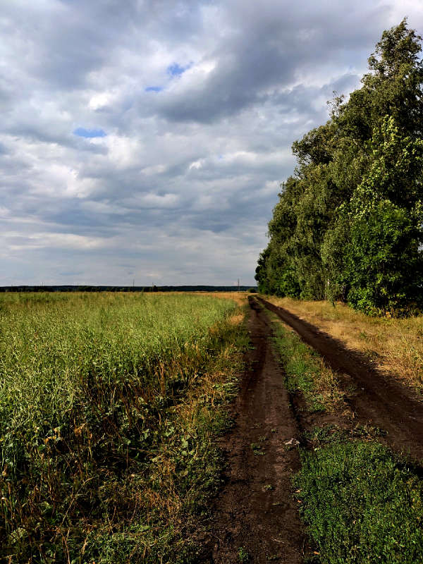 �������� ������ ����� ������  �� PhotoGeek.ru #������ ��� �������