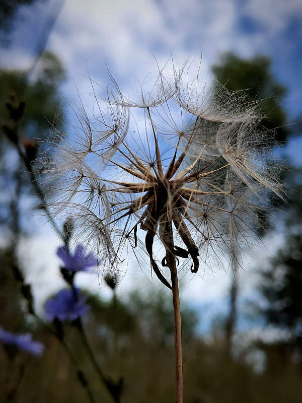 ������������� ����� ������  �� PhotoGeek.ru #����� #����� ��������������