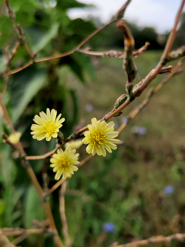 ����� ������� ����� ������  �� PhotoGeek.ru #����� #����� ��������������