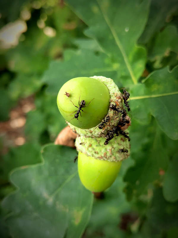 ������ ����� ������  �� PhotoGeek.ru #����� #����� ��������������