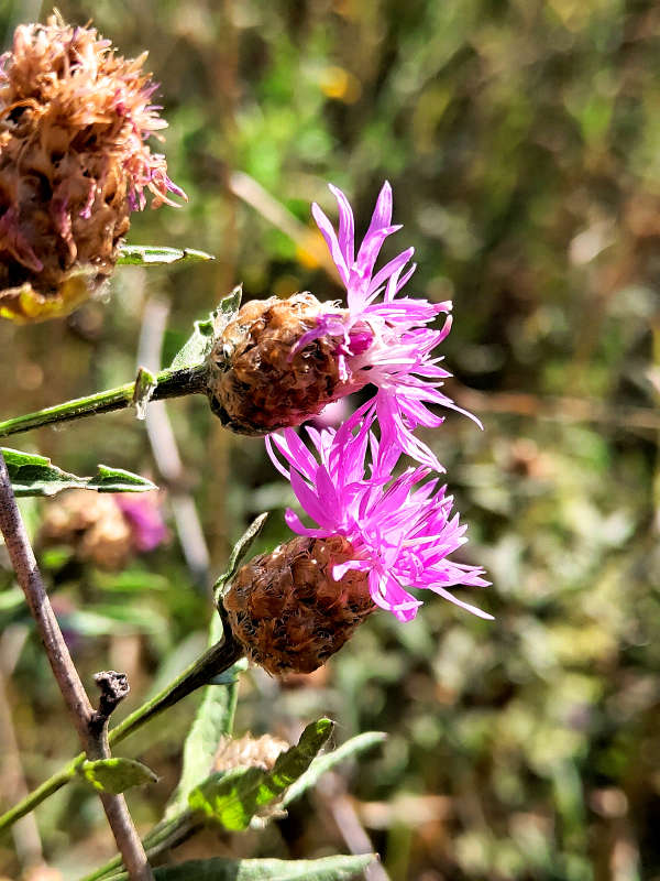 ������� �������� ����� ������  �� PhotoGeek.ru #����� #����� ��������������